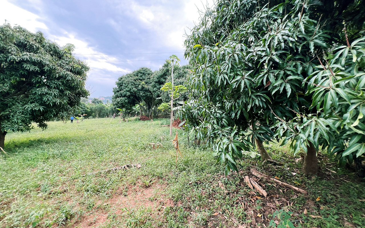 WhatsApp Image 2025-09-23 at 10.31.03 2.jpeg